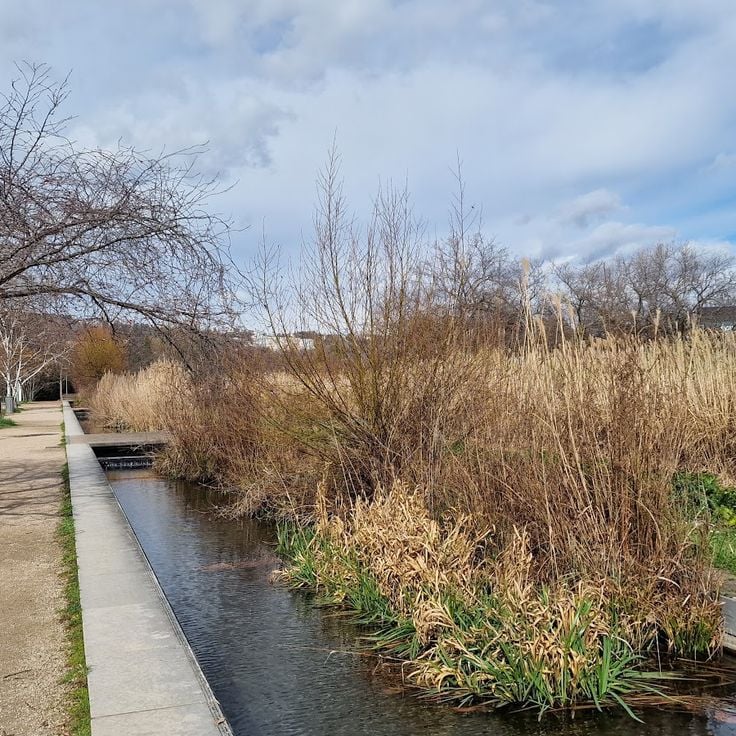 Parc de Gerland