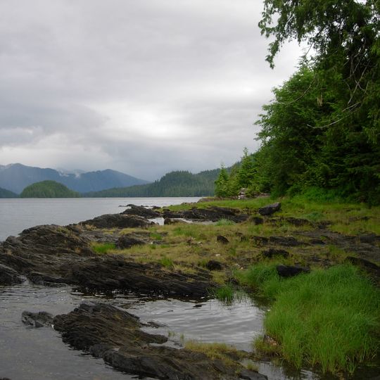 Bosque nacional Tongass
