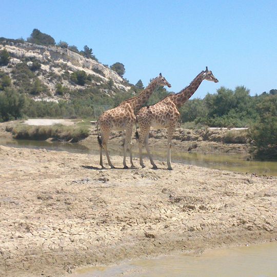 Reserva africana de Sigean