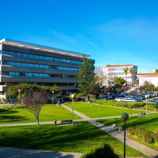 Catholic University of Portugal