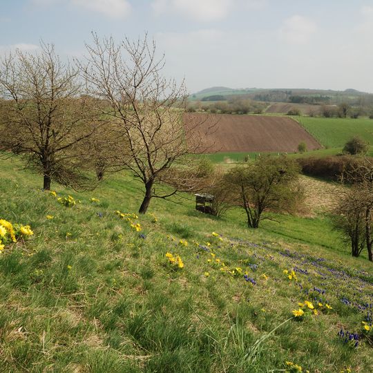 Hahntal und Höckels