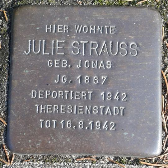 Stolperstein en memoria de Julie Strauss