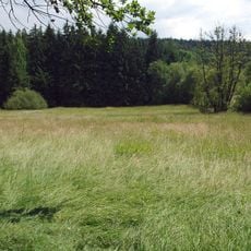 Podlesí (nature reserve)