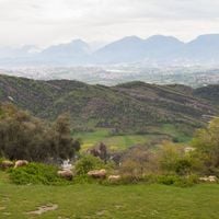 préfecture de Tirana