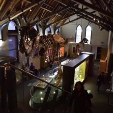 Australian Fossil and Mineral Museum