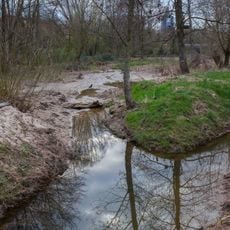Feuchtfläche in der Remsaue