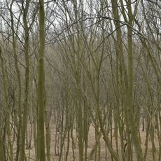 Sadivska dacha nature reserve