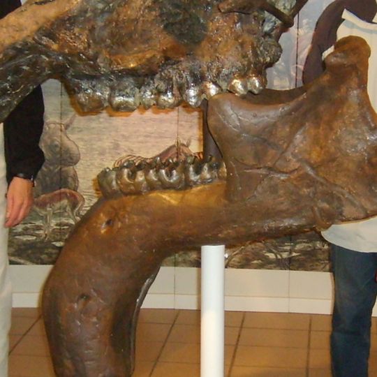 Dinotherium-Museum
