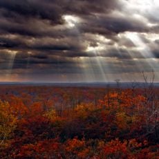 Lackawanna State Forest