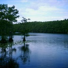 Caddo Lake