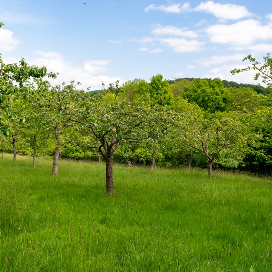 LSG-Oberlauf des Ilsenbach suedlich Rischenau