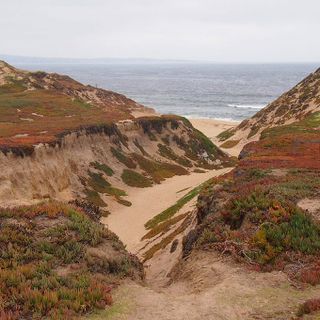 Fort Ord Dunes State Park
