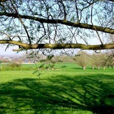 Steverlynck Noord