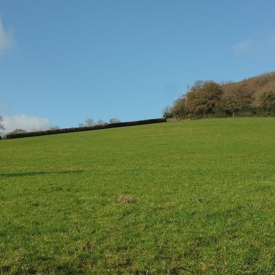 Earthworks in Boro' Wood