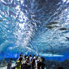 Parque oceánico de Manila