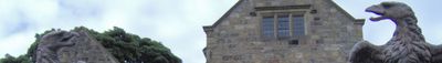 Panoramic View 0