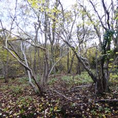 Breedon Cloud Wood and Quarry