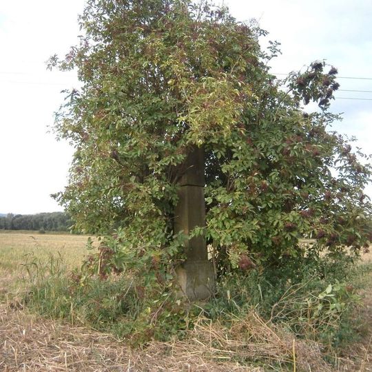 Boží muka jižně od Lukavice v poli