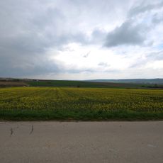 Fundzone Zwischen den Wegen / Teichfeld