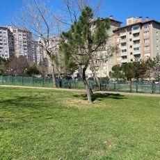 Amfili Park