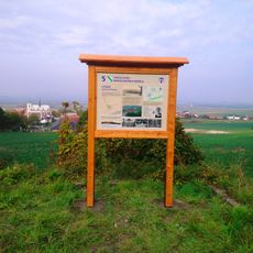 Education trail of Konstantin Biebl