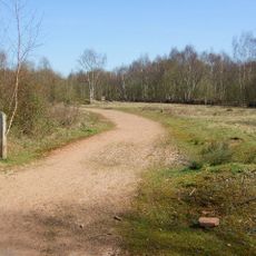 New Lount