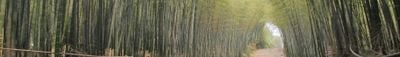Vista panoramica 0