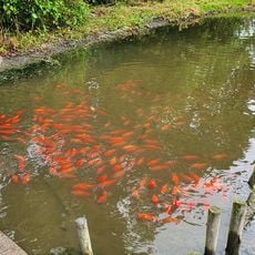 DoeZoo Insektenwereld