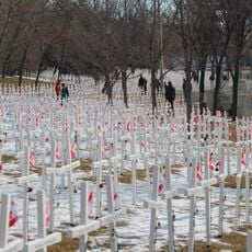 Field of Crosses