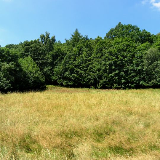 Loučenská hornatina