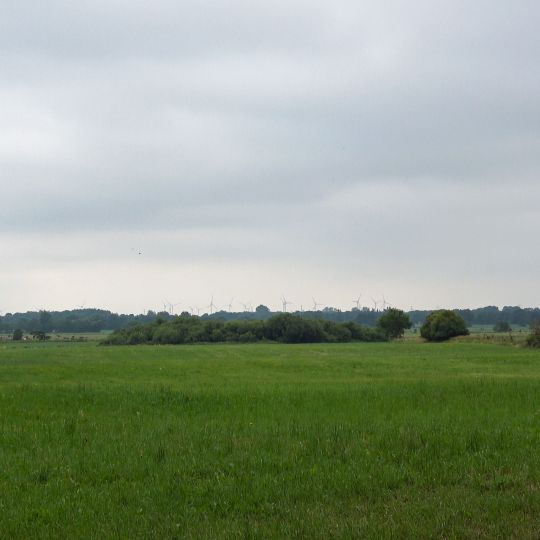 Kalkquellmoor bei Klein Rheide