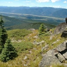 Kaniksu National Forest