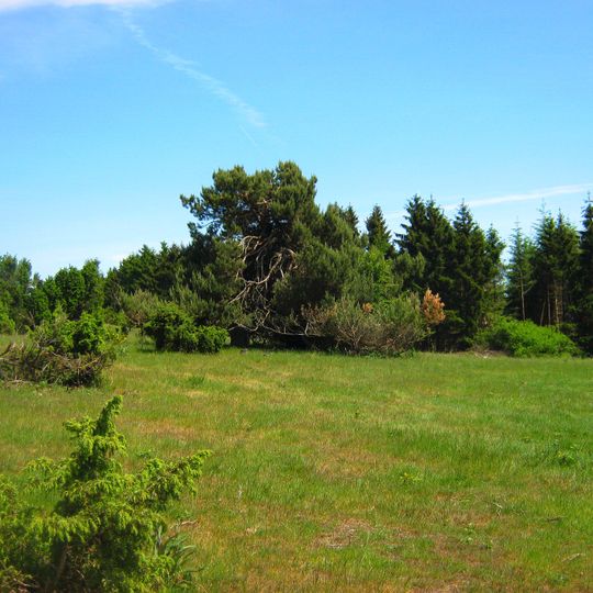 Wacholderheiden Raßberg und Heidbüchel