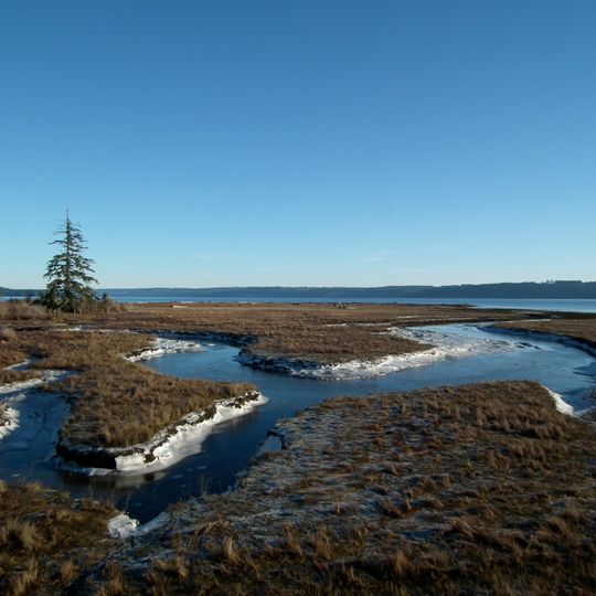 Dosewallips State Park