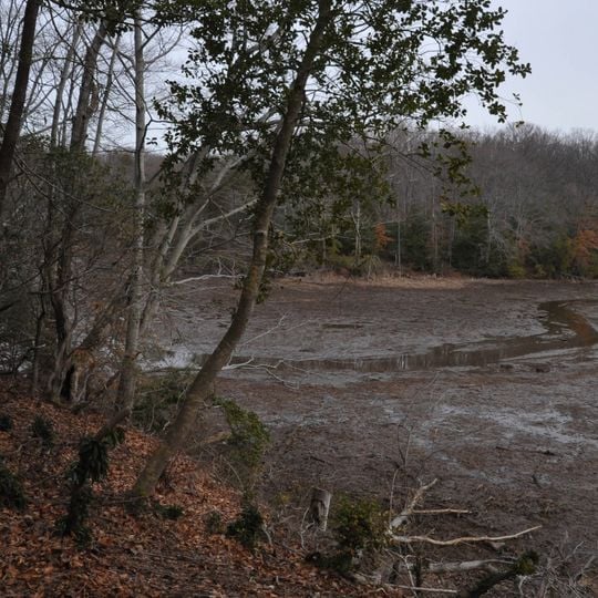 Taft Archeological Site No. 029-5411