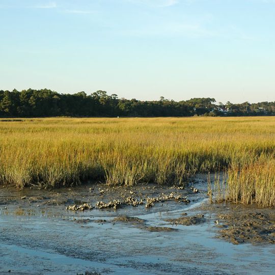 Huntington Beach State Park