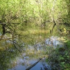 Moor Park SSSI, Surrey