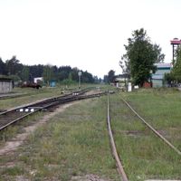 Tsentralny, Volodarsky District