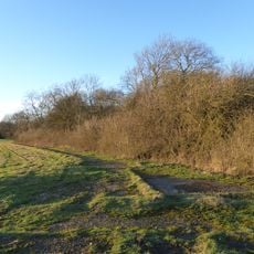 Stoke and Bowd Lane Woods
