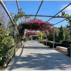 Parque Central
