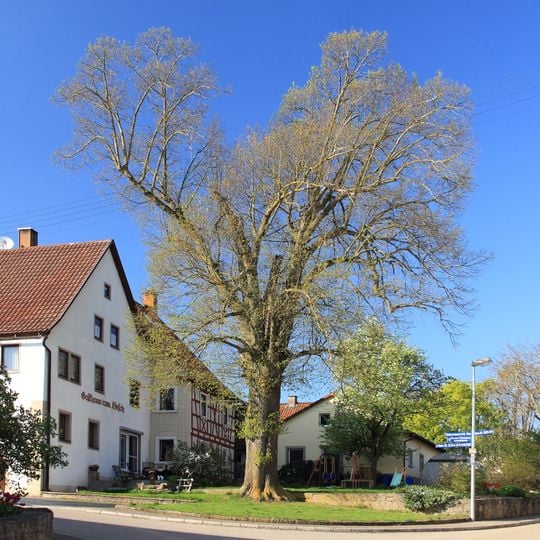 Naturdenkmal Linde Obere Gasse Schmerbach
