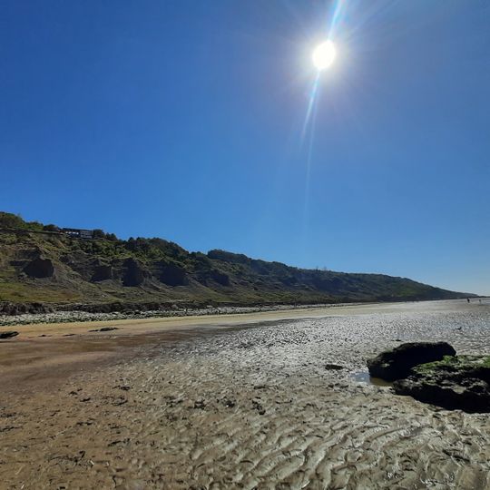Falaise des vaches noires