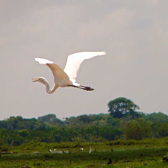 Reserva Biológica do Lago Piratuba
