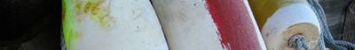 Panoramic View 1