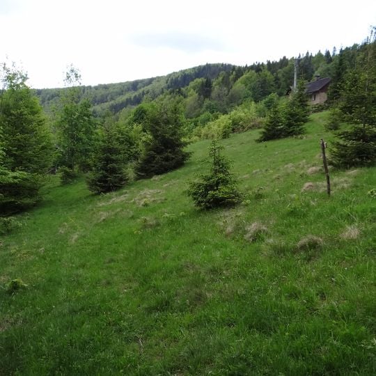 Schronisko Opaczne