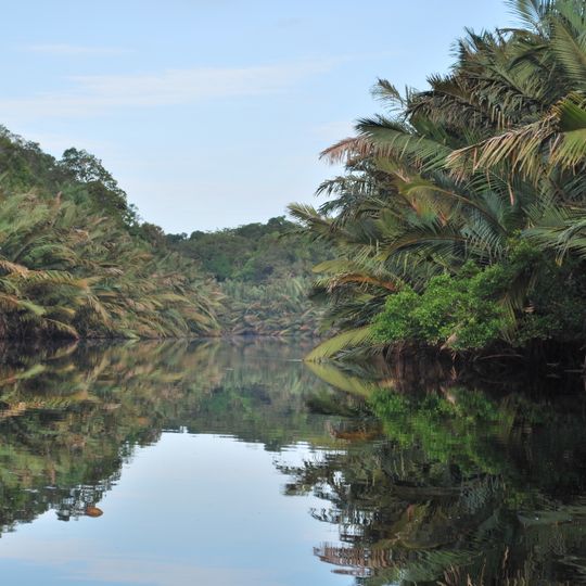 Parco nazionale di Berbak