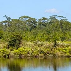 Parque nacional de Phu Kradung