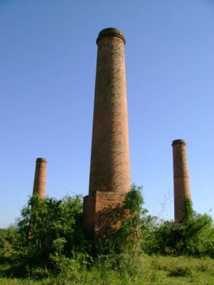 Immagine alternativa