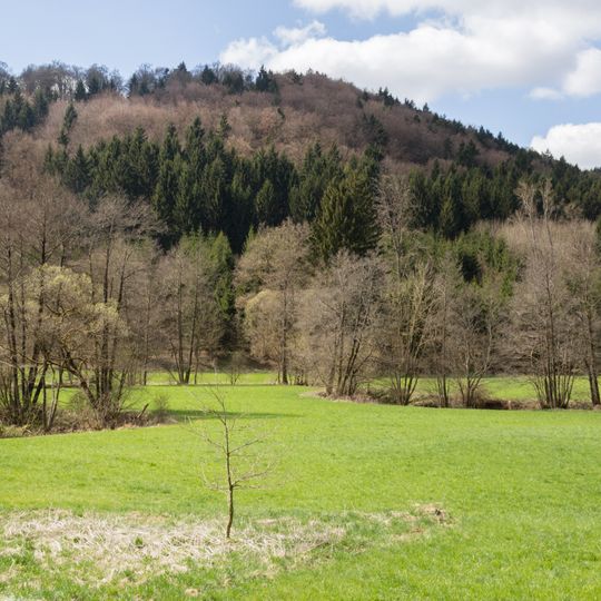 Felsen und Hangwälder im Altmühl-, Naab-, Laber- und Donautal
