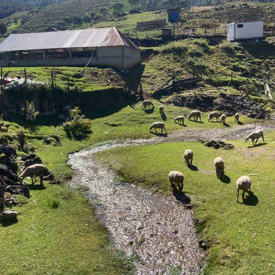 Entrada Laguna Magdalena